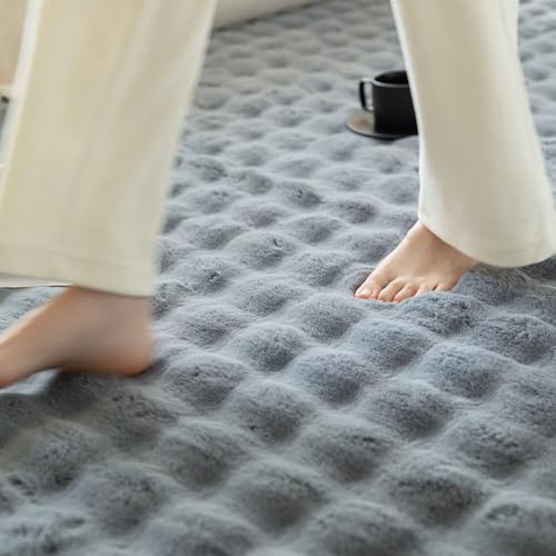 Tapis salon moderne antidérapant et confortable pour grand séjour lumineux