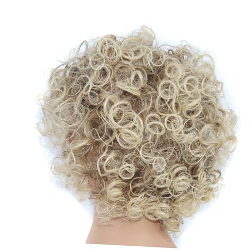 CTIRCHIU V[gAtEBbO p t@bVEBbOJo[ t@Co[f ʋC Z F fB[X g RXv p[eB[p