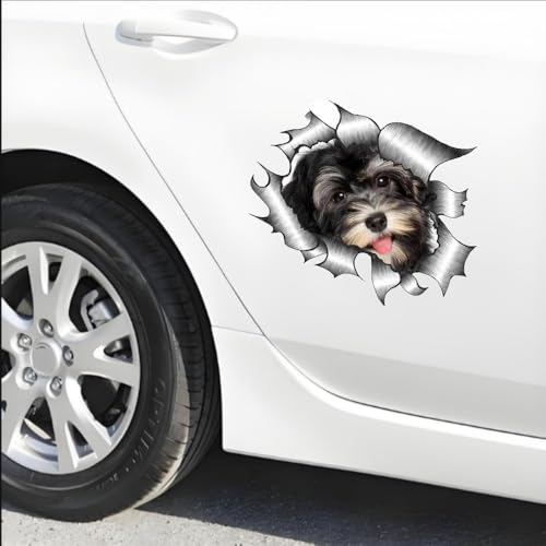 Havaneser Hund Aufkleber, 3D Zerrissener Metall-Effekt, Reflektierend, Wasserfest, Lustiger Havanese Aufkleber für Laptop, Auto, Kühlschrank (15cm/5.9 Inch)