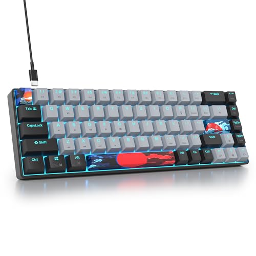 Image of Protable 60% Percent Gaming Keyboard Mechanical, Mini Compact RGB Backlit 68 Keys Wired Office Keyboard with Red Switch for Mac /Win (Dolch /red Switch 68)