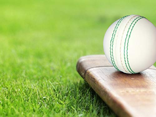 Ksz Traders Cricket Rubber Soft Balls For Practice (Set Of 3) White #TOP1