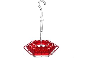 Mary's Hummingbird Feeder: A Delight for Hummingbirds with Advanced Features