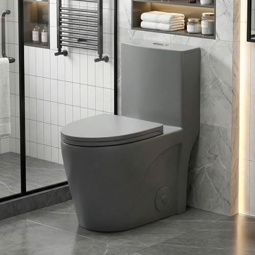 Light Gray Ceramic Toilet, 1.1/1.6 GPF Tornado Flush One-Piece Toilet, Siphonic S-trap 12",Elongated Bowl with Soft Close Seat for Bathrooms
