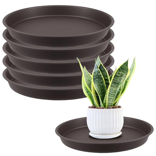 ZOENHOU 6 Stück Runde Blumentopf Untersetzer 30 cm, Dicke PP-Kunststoff Pflanzenuntersetzer Pflanzenschale für Innen und Außen, Stabiler Blumentopf-Untersetzer mit 3 cm Höhe
