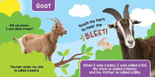 Farm Animals - A Noisy Touch And Feel Sensory Book Featuring Farm Sounds #TOP7