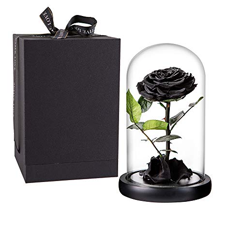 Preserved Rose Black Roses Handmade Preserved Flower Real Rose in Glass Dome, Preserved Roses Never Withered Romantic Gifts for Female, Valentine's Day, Mother's Day, Birthday (9 inch, Black)