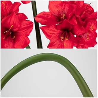 Oairse 3PCS Amaryllis Artificial Flowers 17.3 Inch Faux Amaryllis Lily Flowers Stems with 4 Heads Silk Floral Bouquet for Christmas Home Room Table Centerpiece Wedding Party Arrangements