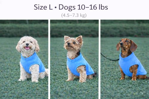 Image of JACKO & CO - Fleece Vest Dog Sweater with Leash Ring - Soft, Warm & Lightweight Pullover Coat for Small & Medium Dogs, Puppies & Cats - Cozy Fall /Winter /Spring Pet Jacket (Blue, Large 10-16lbs)