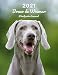 2021 Braco de Weimar Planificador Semanal: 123 Páginas | Tamaño A4 | Calendario | 14 Meses | 1 Semana en 2 Páginas | Agenda Semana Vista | En español | Perro