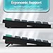 Keychron B33 2.4 GHz Wireless Bluetooth Keyboard Silent Typing 80% TKL Layout Launcher Support Ergonomic Angle Compatible for Mac Windows Linux-Deep Black