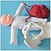 Gogh Femenino Modelo de Parto Tamaño de la Vida Cuerpo Humano Simulación de Parto con Pelvis y bebé, Incluye un cordón Umbilical de Placenta Desmontable