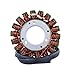 Stator for KTM 250 300 500 EXC/XC/XC-W | 450 SX-F/XC-F 2008-2020 83039004000 55439104000 55439104100 Parts