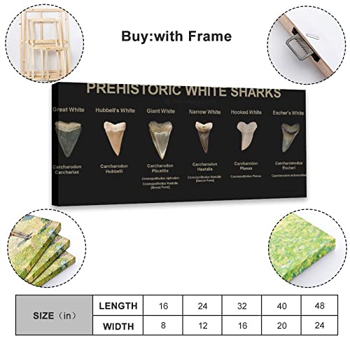 Animal Posters Prehistoric Great White Shark Teeth Knowledge Educational Poster Wall Art Paintings Canvas Wall Decor Home Decor Living Room Decor Aesthetic 24X48Inch(60X120Cm) Frame-Style #TOP1