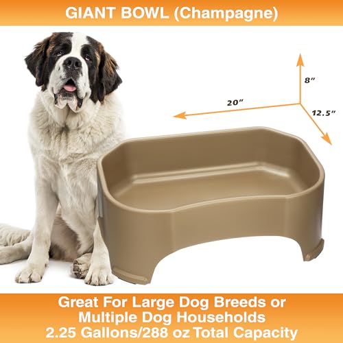 Image of Neater Pet Brands Extra Large Water Bowl for Dogs, Outdoor Dog Water Bowl (2.25 Gallon XL Capacity), Big Trough Style Food Dish for Indoors or Outside, No Spill Large Dog Bowls, Champagne