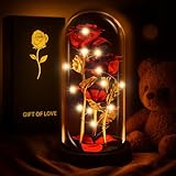 KETAR Rose in Glass Dome – LED Glass Rose Flower Lights, Romantic Flowers Roses for Home Decor, Beautiful Birthday Gifts for Women | Gifts for Mom, Grandma, & Girlfriend – Elegant Lighting Solution
