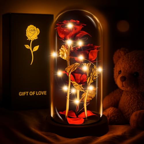 KETAR Rose in Glass Dome – LED Glass Rose Flower Lights, Romantic Flowers Roses for Home Decor, Beautiful Birthday Gifts for Women | Gifts for Mom, Grandma, & Girlfriend – Elegant Lighting Solution