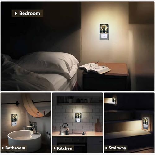 Image of LED Night Light,Full Moon Cat Sit In Grass Field LED Night Light Plug into Wall with Dusk to Dawn Light Sensor White Energy Efficient Nightlight for Bedroom Bathroom Hallway LivingRoom Kitchen