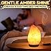 Himalayan Salt Rock Lamp with Dimmer – Hand-Carved Himalayan Salt Lamp Night Light 5.5–7