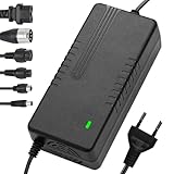 Cargador Patinete Electrico,42V/36V 2A Universal Cargador Patinete Xiaomi con 6 Conectores,para Scooters Eléctricos, Scooters de Equilibrio, M365 1S Scooter Eléctrico