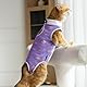 Amexo Katzenbody Nach Op Kastration Recovery Suit Katze Haustier-medizinisches Chirurgisches Hemd Professioneller Erholungsanzug für Katzen und Hunde Lila (S)