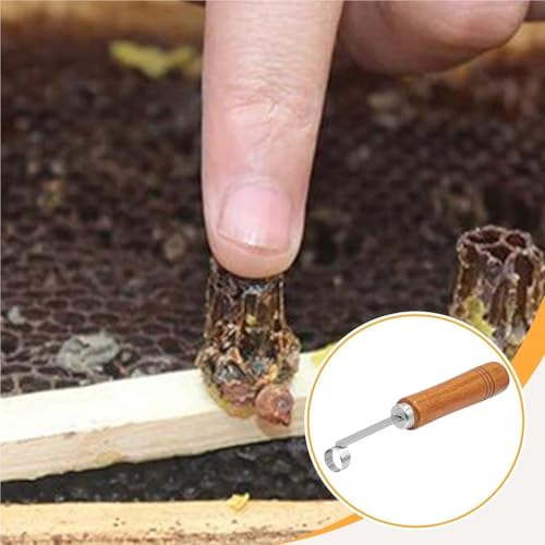 Outils apicoles pour décoller la propolis via ce grattoir à miel - 5