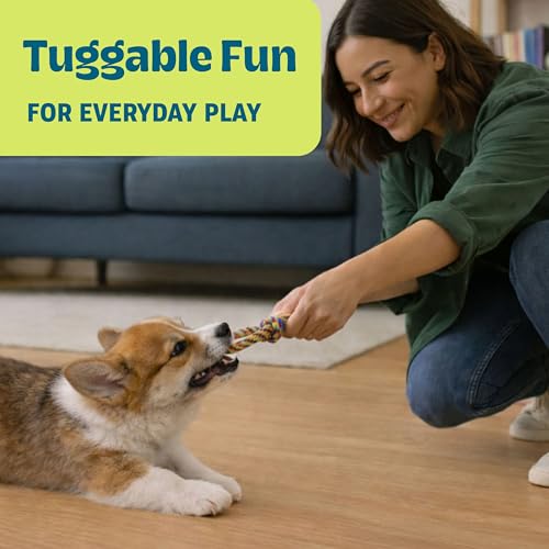 Image of Mini Dentachew Pack Dental Chew Toy, Multi-Textured, Fetch & Tug Rope, Puppies & Small Dogs, 7 inch, 3-Pack