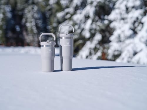 Stanley IceFlow Flip Straw Tumbler with Handle 20 oz | Twist On Lid and Flip Up Straw | Leak Resistant Water Bottle | Insulated Stainless Steel |BPA-Free | Ash - Image 8