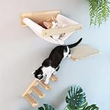 FUKUMARU Cat Wall...image