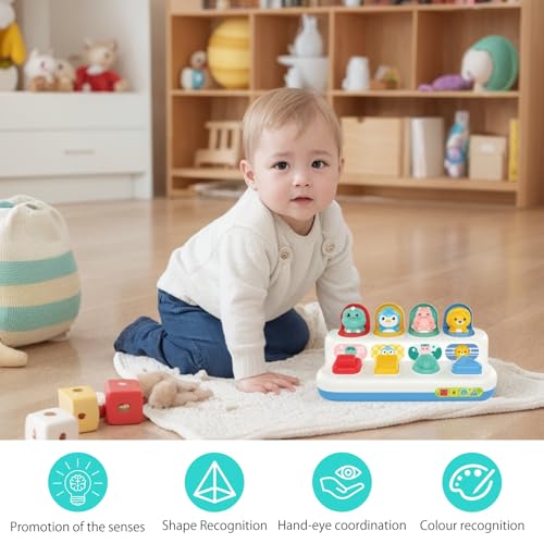 GDJIAJT Pop up Baby Spielzeug ab 12 Monate, Montessori Spielzeug ab 1 Jahr Motorikspielzeug ab 6 Monten Frühe Entwicklung Ursache & Wirkung Lernspielzeug Baby Ostern Geschenk Jungen Mädchen