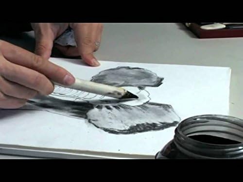 CRETACOLOR Charcoal Powder 175 Gms 2