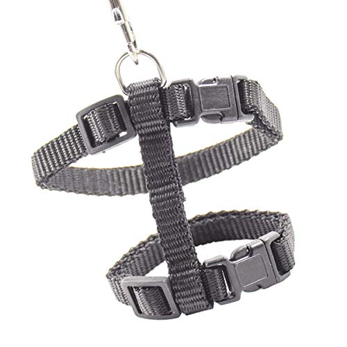Xpangle Cat Harness And Leash Adjustable Nylon Halter Harness Kitten Nylon Strap Belt Safety Rope Leads (Black) #TOP1