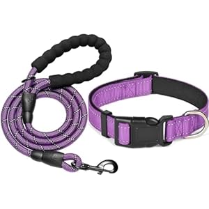 KOMUNJ Ensemble collier et laisse réfléchissante pour chien, collier réglable, laisse en nylon durable pour chiens de taille moyenne et grande, violet, s