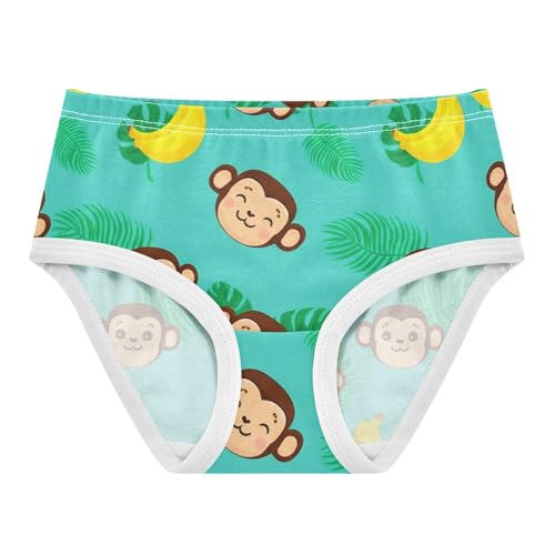 Fancy Toddler Underwear Custom 2t Cotton Cute Panties Girl Cute Cartoon Monkey Blue Kids Briefs Undies