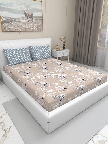Image of Blue Strip 300 TC Cotton Feel Glace Cotton Flat Printed Queen Size Double Bed Bedsheet with 2 Pillow Covers,Size- 90 x 100 Inches