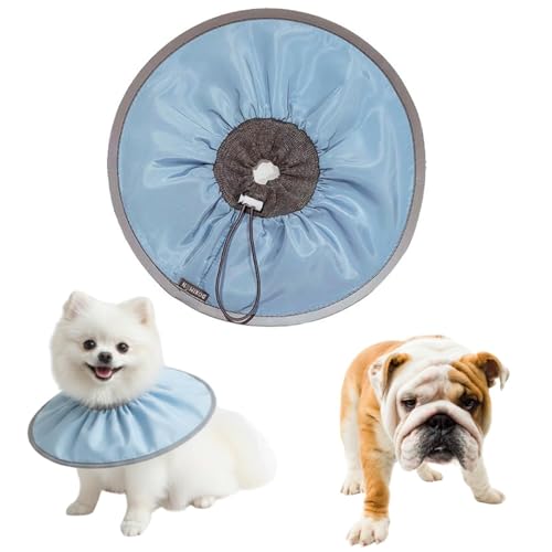 LifetipsuhbO uLp GUxXJ[ h \tg y pPA ی Ȃߖh~ p EȒP 􂦂 PAJ[(xr[u[j(Lj