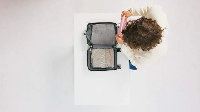 Amazon.com: American Tourister Flashline Spinner S Hand Luggage