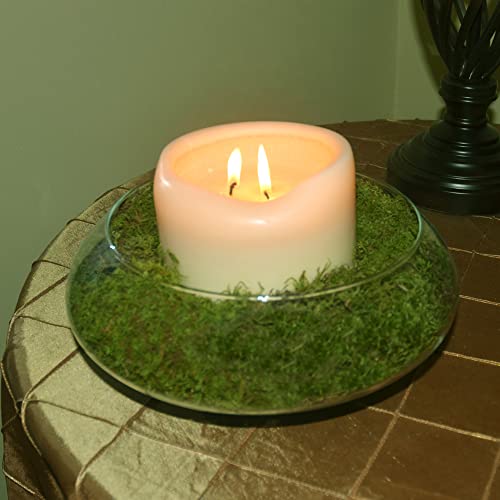 Mosser Lee ML0460 ナチュラルグリーンシートモス 325平方インチ