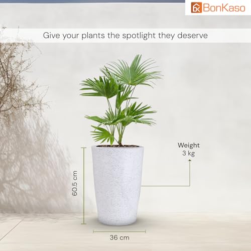 Image of BonKaso 24 inch White Pot - Tall, Durable & Lightweight Polymer Round Tower Planter for Indoor & Outdoor Use: Home, Office, Garden & Balcony (Gamla /Gamale)
