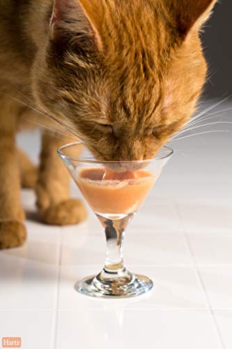 Hartz Delectables Bisque Wet Cat Treats - Image 8