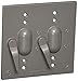 Thomas & Betts LE 2CCT 2GNG TGLE CVR FR 2 Switch W