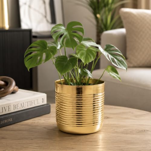 Image of Gold Ribbed Metal Planter Pot for Indoor Living Room Tabletop Decorative Flower Planter Pot for Home Decoration and Gifting (5 inch Height)
