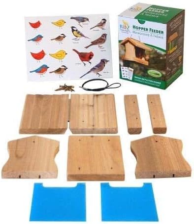 Woodlink 29004 Hopper DIY Craft Kit Bird Feeder, Brown