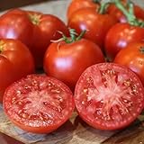 Better Boy Tomato Seeds, 100 Ct. Grow The Classic Better Boy Tomato in Your own Garden! These high-yielding, indeterminate Tomato Plants.