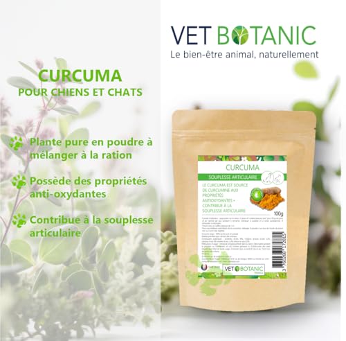 Kurkuma Hund und Katze – Nahrungsergänzungsmittel für Gelenke und Verdauung Vet Botanic