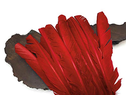 6 Pieces - Red Turkey Pointers Primary Wing Quill Large Feathers Fletching Diy Halloween | Moonlight Feather #TOP3