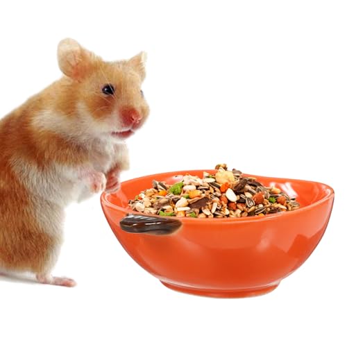 Tazón de cerámica para hámster y animales pequeños plato de calabaza con fondo estable 4 piezas 4