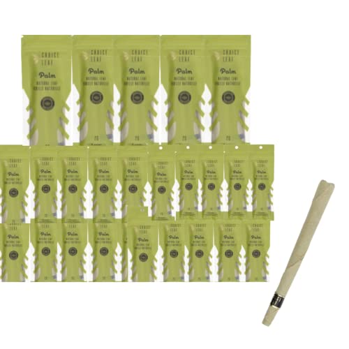 Jenzi Lot De 2 Paquets De 20 Crochets à Ver Prêts à L'emploi Tailles 2