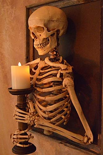 Framed 3D Life-Size Skeleton Torso Holding Flameless Candle