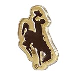 Pin by Fan Frenzy Gifts | Officially Licensed University Sports Lapel Pin | Enamel Lapel or Hat Pins for Men, (University of Wyoming)