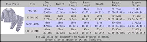 Mygbcpjs 2Pcs Baby Boys Girl Cotton Outfit Set Zipper Jacket Tops Pant Set Tracksuit Gray #TOP6